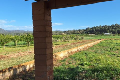 Finca i Ginestar, Tarragona, Ginestar - € 17.000 | Ref: CC842 - foto 10